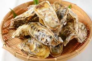 殻付き牡蠣(~14:00までの注文で当日発送!)
