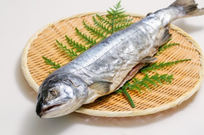 新巻鮭(1本物)辛口