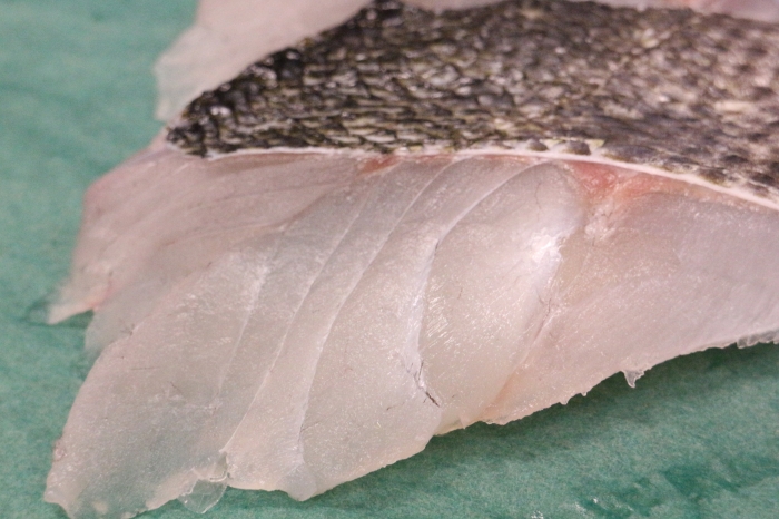 南知多産 すずき(~14:00までの限定販売、即発送!)