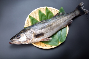 南知多産　活〆すずき（~14：00までの限定販売、即発送！）