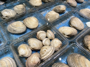南知多産 活大アサリ(~14:00までの注文で当日発送!)