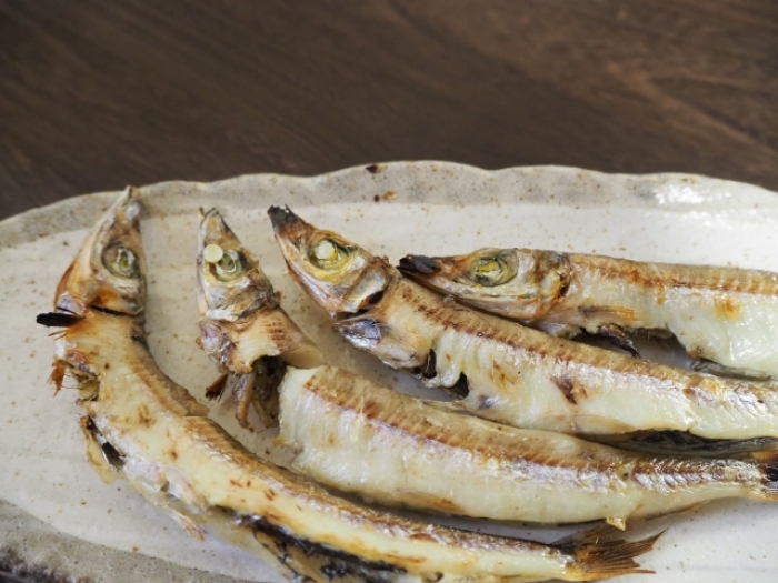 南知多産 ニギス(~14:00までの限定販売、即発送!)