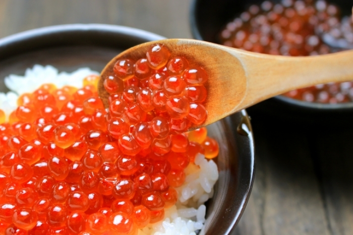 いくら醤油漬け（大）（商品が変わりました）2025/11月～