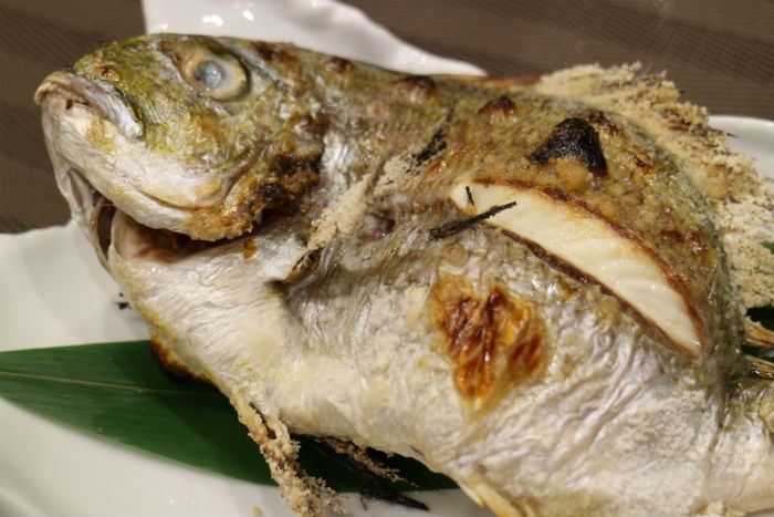 南知多産　まなじ1尾（ヘダイ）（~14：00までの限定販売、即発送！）