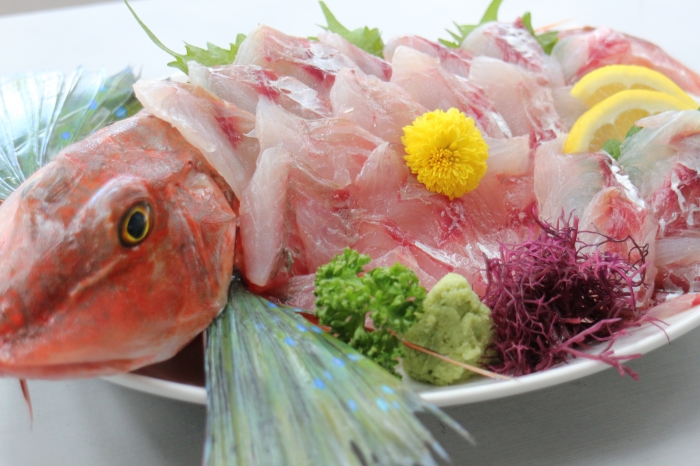 南知多産　ほうぼう１尾（~14：00までの限定販売、即発送！）