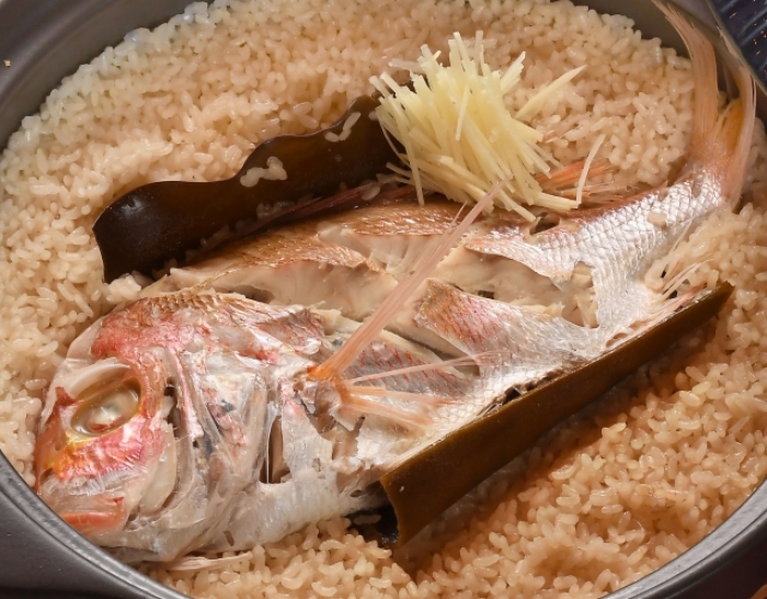 南知多産　ち鯛 1尾(~14：00までの限定販売、即発送！）