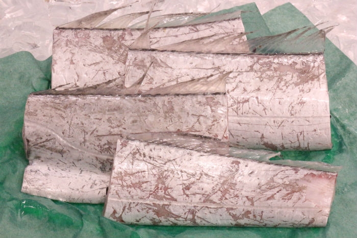 南知多産　太刀魚1尾（~14：00までの限定販売、即発送！）