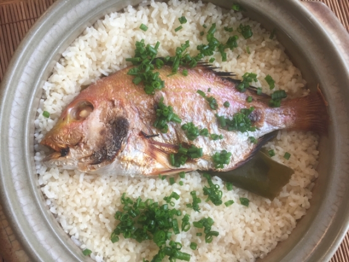 南知多産 レンコ鯛1尾(~14:00までの限定販売、即発送!)