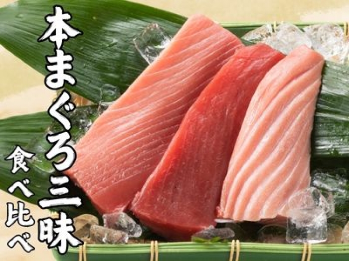 冷蔵便/到着日:金土日限定【2026年F】生本まぐろ 食べ比べセット