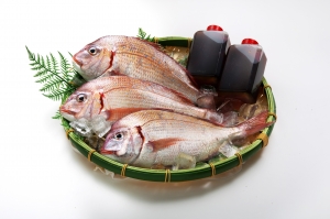 【魚太郎】本日のおすすめ鮮魚　煮魚セット（自家製たれ付き）