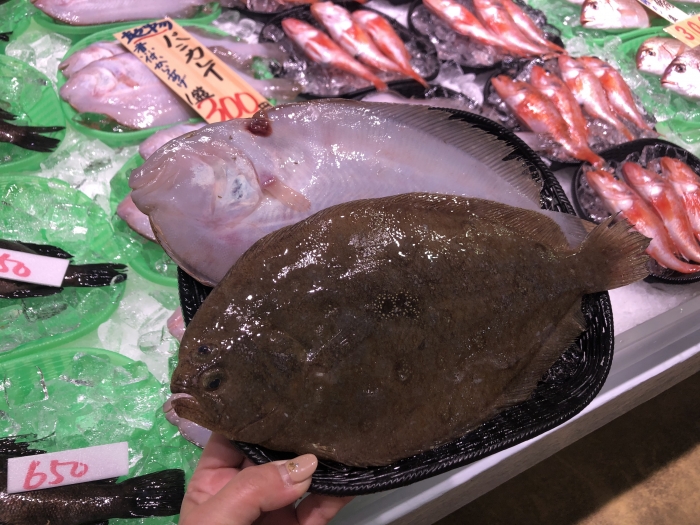 南知多産バンガレイ1かご(~14:00までの限定販売、即発送!)