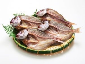 【数量限定】自家製 天然鯛ひもの (大)1枚