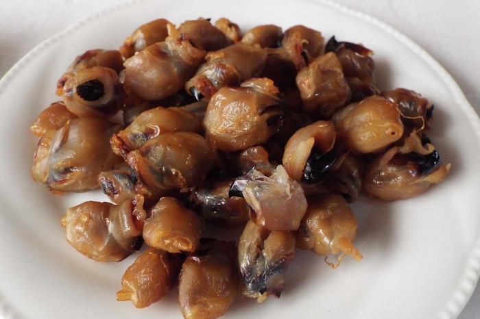 いか一杯から1つだけ いかとんび