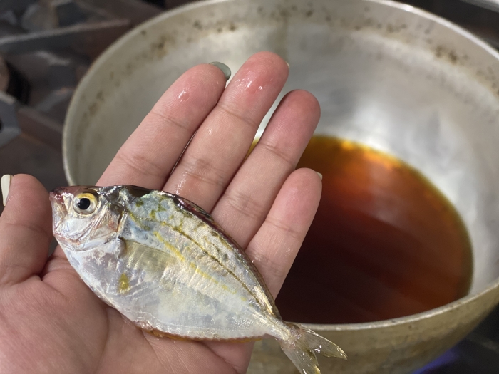 南知多産　ゼンメ1かご（~14：00までの限定販売、即発送！）