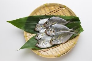 南知多産　ゼンメ1かご（~14：00までの限定販売、即発送！）