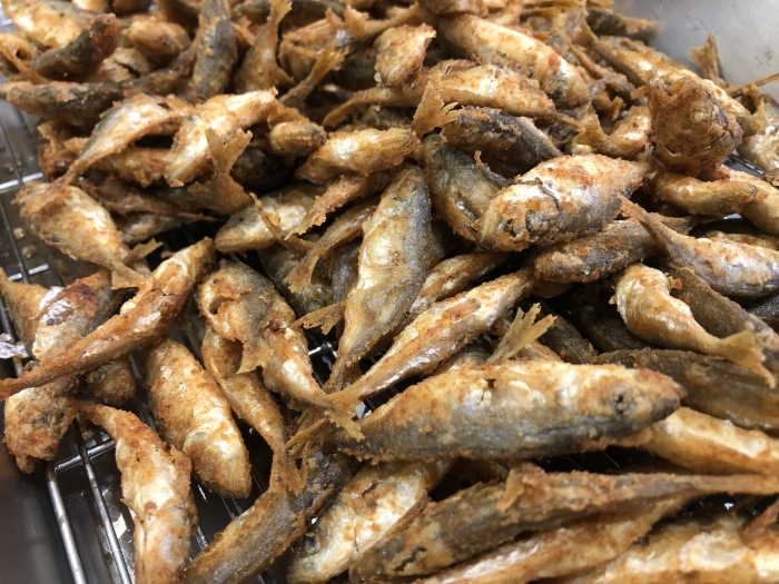 南知多産　豆あじ1かご　(~14：00までの限定販売、即発送！）