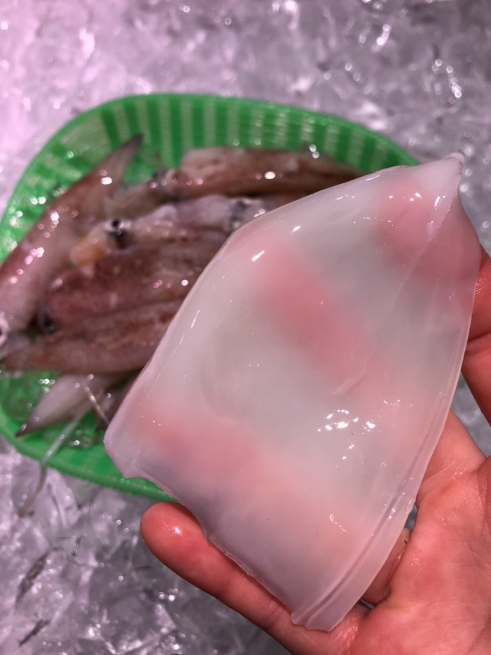 南知多産　小笹イカ1盛（~14：00までの限定販売、即発送！）