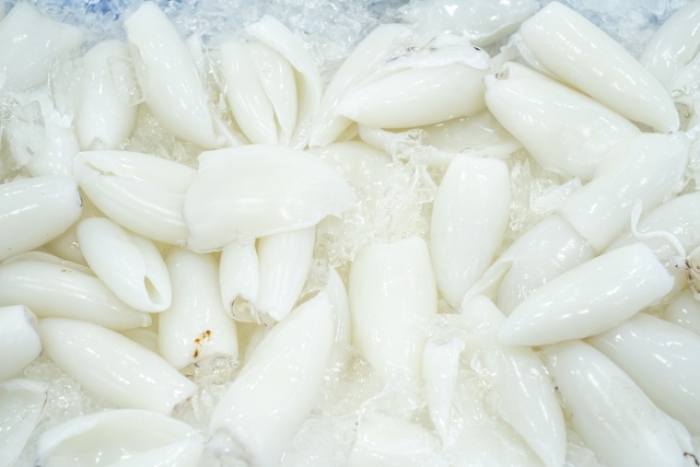 南知多産 小笹イカ1盛(~14:00までの限定販売、即発送!)