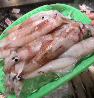 南知多産　小笹イカ1盛（~14：00までの限定販売、即発送！）