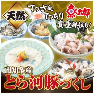 【事前予約商品】とら河豚セット《南知多産とらふぐてっさ&てっちりセット》3~4人前程度