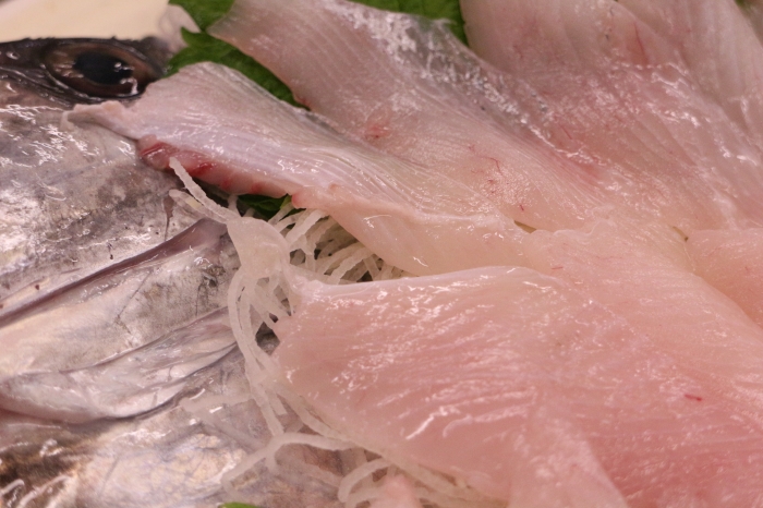 南知多産　鏡鯛1尾（~14：00までの限定販売、即発送！）