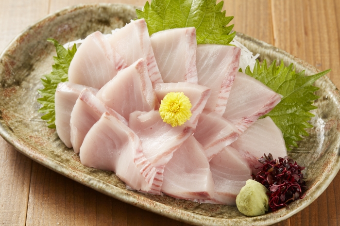 南知多産　サワラ1尾（~14：00までの限定販売、即発送！）
