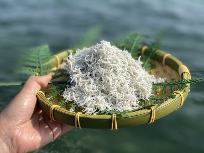 南知多産　しらす干し（ちりめんじゃこ）500g