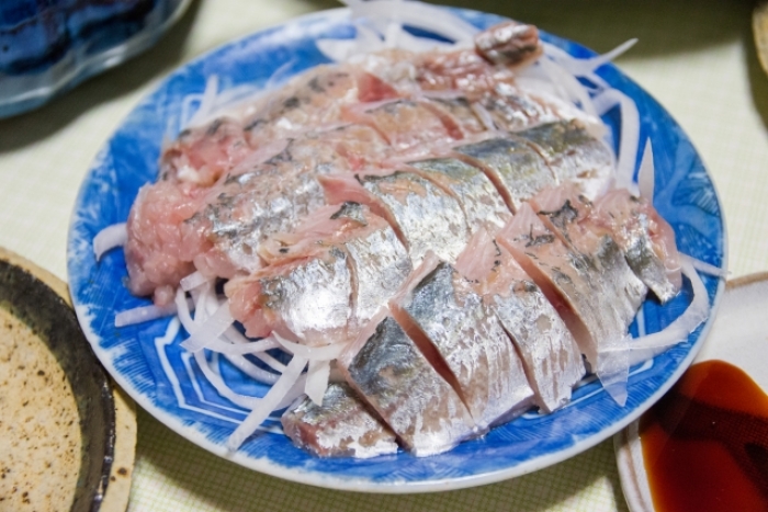 南知多産　真アジ1尾　(~14：00までの限定販売、即発送！）