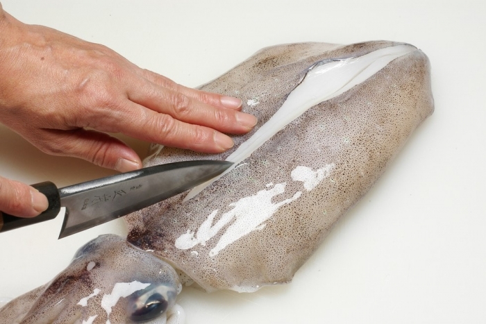 南知多産 アオリイカ1杯