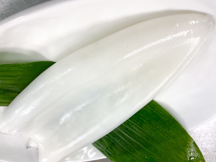 南知多産 アオリイカ1杯