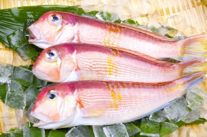 南知多産　甘鯛1尾（~14：00までの限定販売、即発送！）