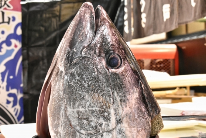 まぐろ頭肉炙り 柵