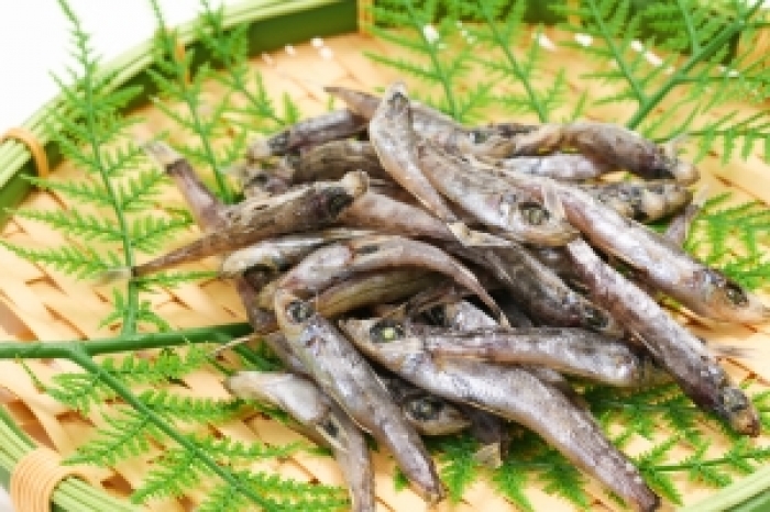 自家製　メヒカリ丸干し