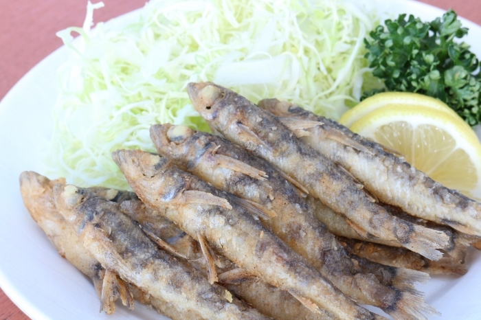 自家製　メヒカリ丸干し