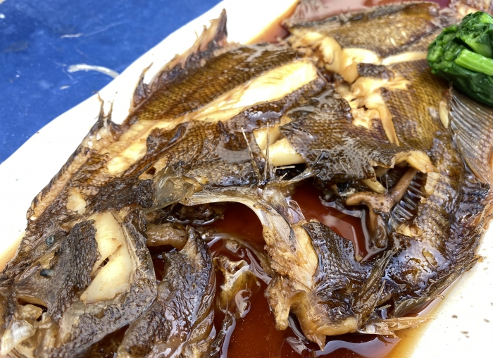 南知多産 バンガレイ1尾