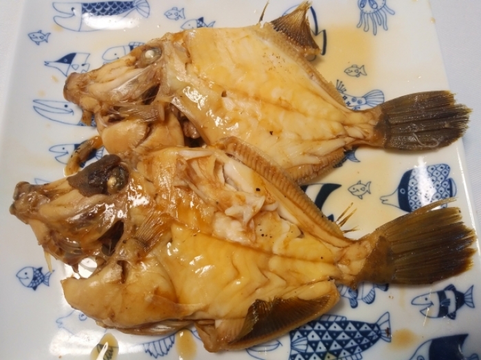 南知多産 カワハギ(煮焼きに)(~14:00までの限定販売、即発送!)