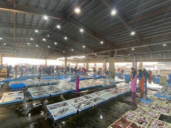 【F】魚好きが唸る、自家製干物セット（送料込み）★通販限定★