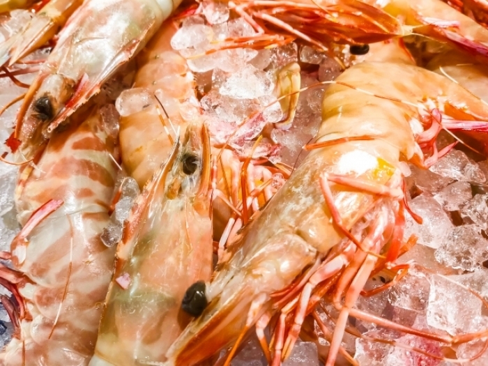 天然エビ(特大)8尾