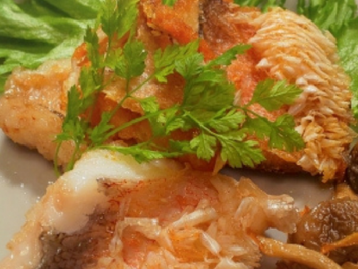 南知多産 白甘鯛1尾(~14:00までの限定販売、即発送!)