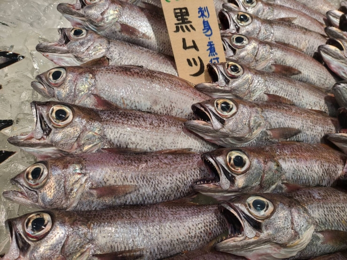 【F-2】魚好きが唸る、自家製干物6種おまかせセット（送料込み）★通販限定★