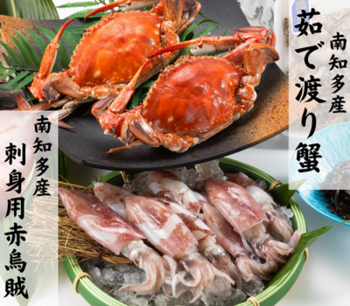 【D】知多半島のご馳走セット（2023）送料込み