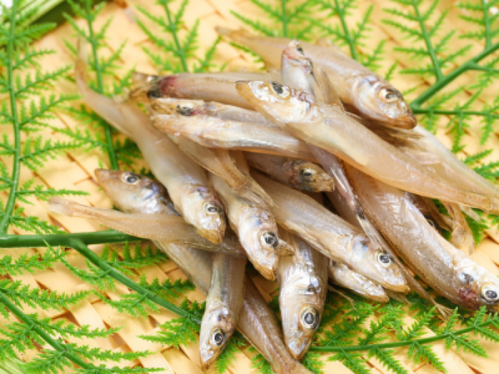 【E】知多の恵み海宝セット(2025)送料込み