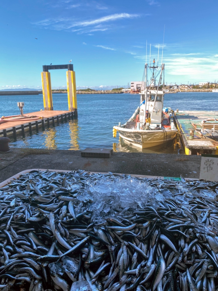 【2026年B】 ご飯のお供セット