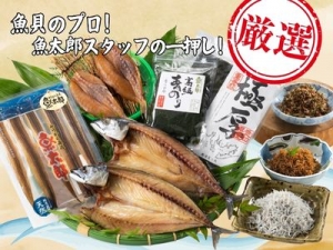 【2026年C】　魚太郎スタッフおすすめセット