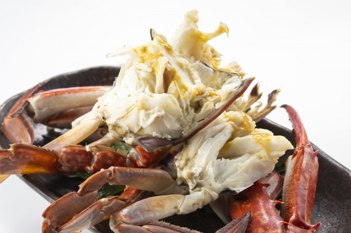 【2026年D】 知多半島の恵みー海宝-セット