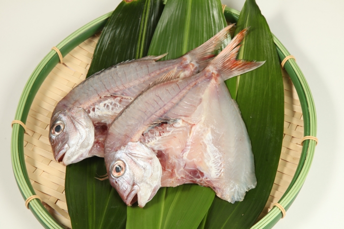 【2026年D】　知多半島の恵みー海宝－セット