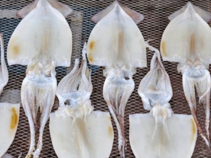 するめいか一夜干し