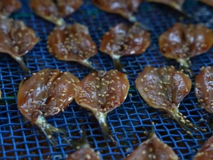 自家製　獲れたていわしみりん