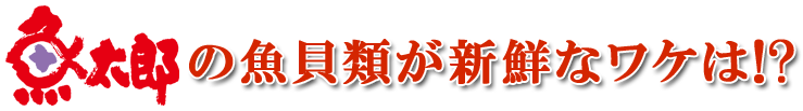 魚太郎の魚介類が新鮮なワケは！？