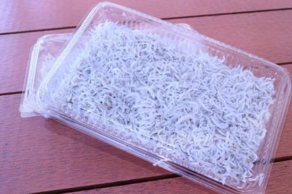 南知多の旬の味「出来立てちりめん」販売します!